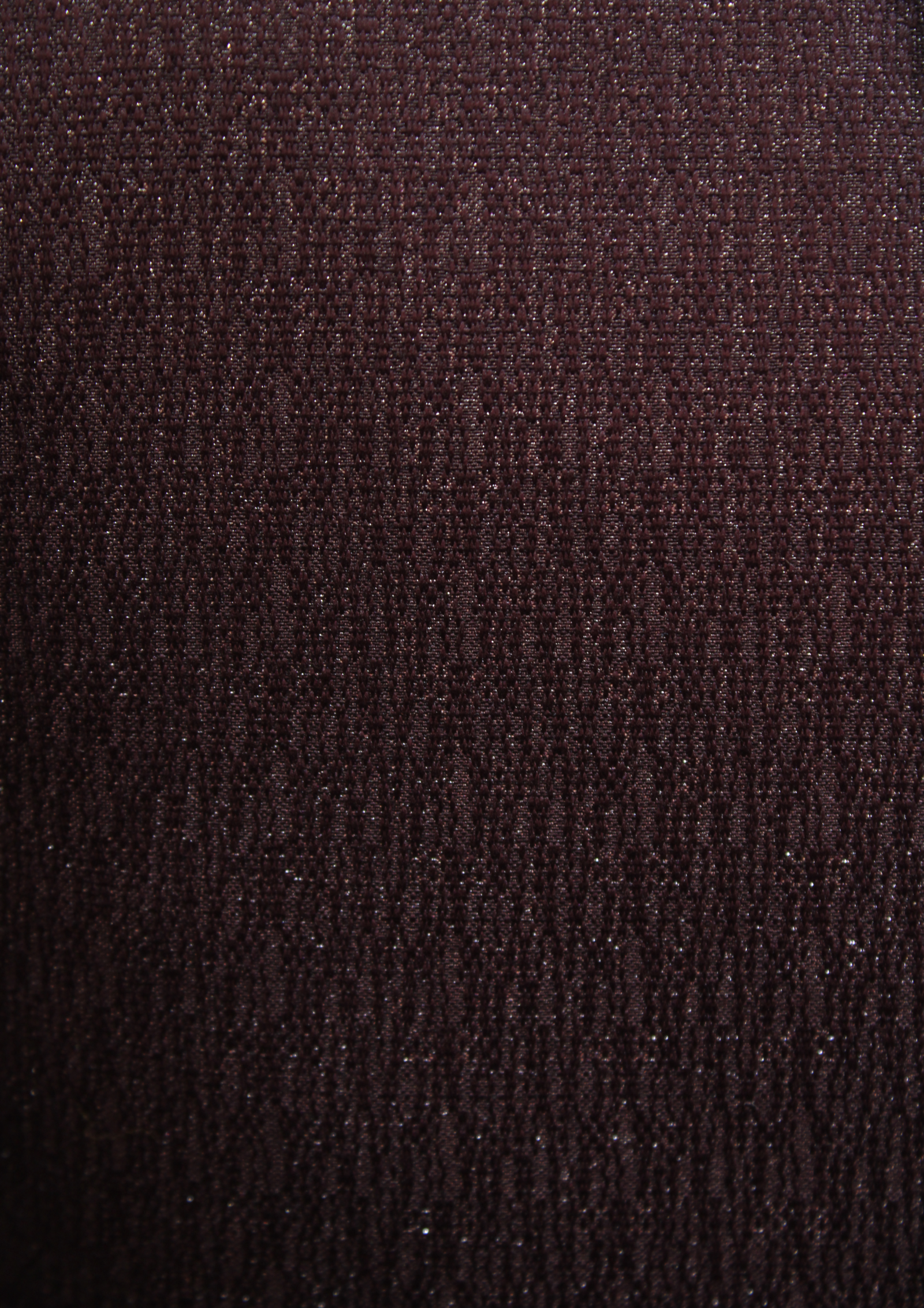 Maroon Designer Tuxedo Blazer with Metallic Lion & Feather Embroidery - Image 4